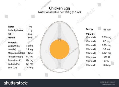 Chicken Egg Nutritional Value Vector Illustration Stock Illustration