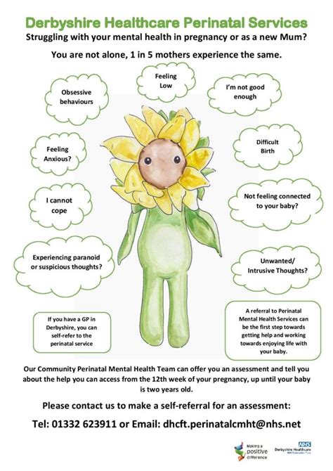 Perinatal Mental Health Services Derbyshire Voluntary Action