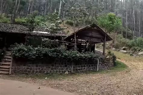 Buka Jam Warung Tengah Hutan Ini Nekat Buka Sendirian Di Wisata