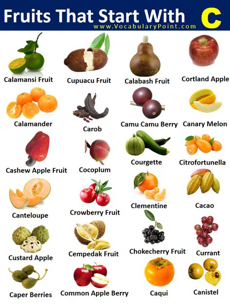 50 List Of All Fruits Name In English With Pictures 56 OFF