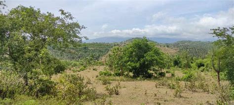 Farm Land For Sale In Attapadi Palakkad REI1051626