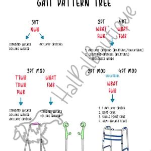 Gait Patterns Assistive Device Weight Bearing Status Study Guide