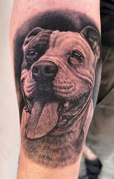 Pitbull Tattoos Designs