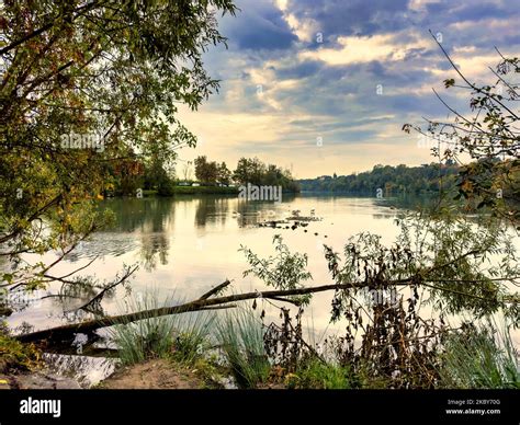 Fluvial Landforms Of Streams Trees And Swan High Dynamic Range Shoot
