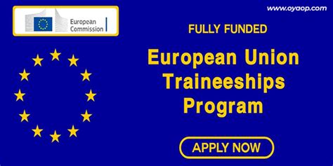 European Union Internship 2024 25 Fully Funded Apply Now Oya