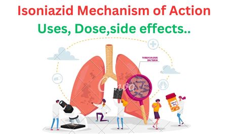 😊👍Isoniazid Mechanism of Action; Uses; Dose; side effects.. - YouTube