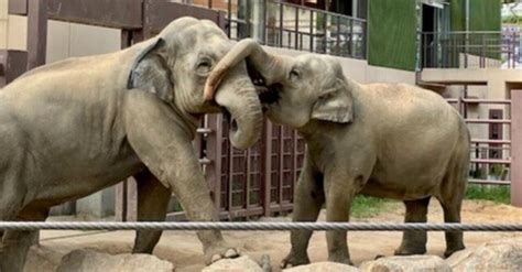 かつては徳山藩館邸跡、周南市徳山動物園の歴史と今｜orangenakasuorange