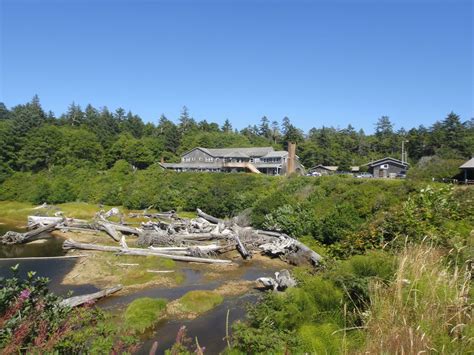 10 BEST Things to Do at Kalaloch Lodge