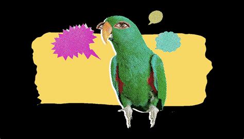 ᴗ on Twitter fuck this bird https t co fCj1P5AArc Twitter