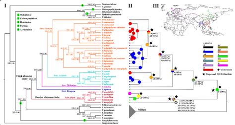 Phylogenetic Relationships And Ancestral Areas Reconstruction Of Paris