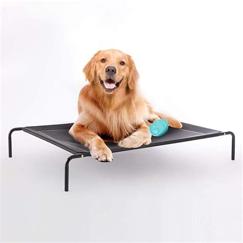 Best Elevated Dog Beds 2024 Katha Maurene