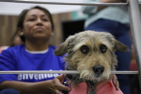 Aprueban Ley Rufo para castigar hasta con 10 años de cárcel a quien