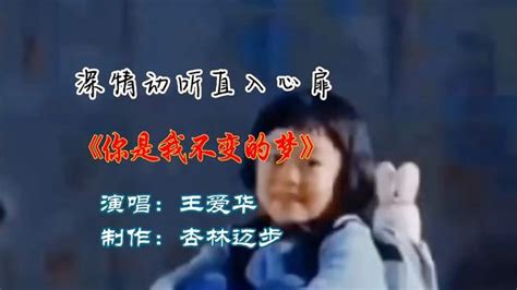 王爱华深情演绎对唱版《你是我不变的梦》凄美动听，难忘的回忆！ 音乐视频 搜狐视频