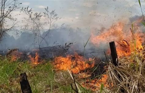 Incendios Forestales Arrasan Más De 300 Hectáreas En Santander