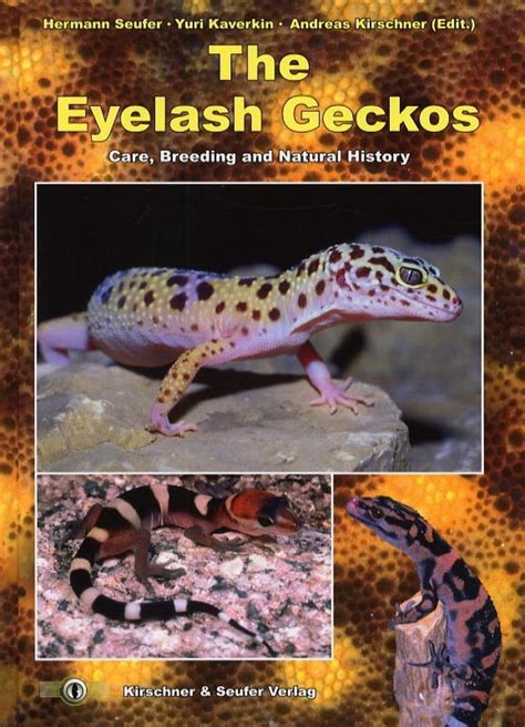 The Eyelash Geckos: Care, Breeding and Natural History | NHBS Academic ...