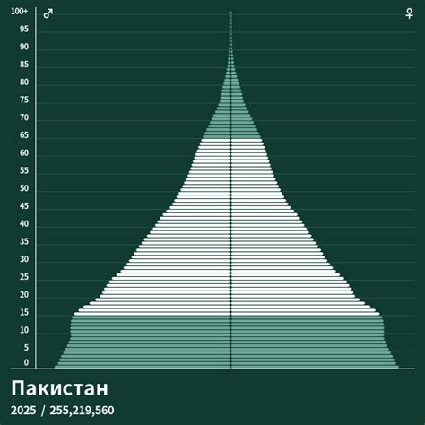 Пирамида населения Пакистан в 2025 году - Возрастно-половая пирамида
