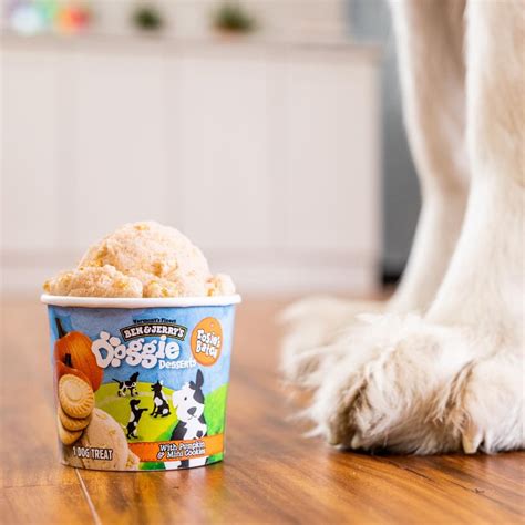 Ben And Jerrys Launches Dog Friendly Ice Cream Line This Dogs Life