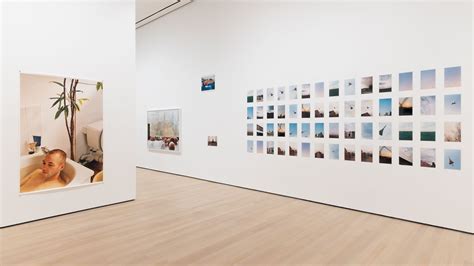 Wolfgang Tillmans At Moma Years Of Shaping Photography Wallpaper