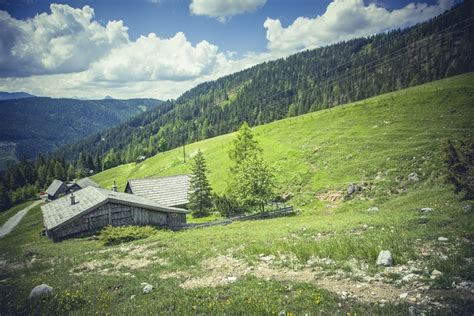 Free Images Landscape Nature Grass Wilderness Field Meadow