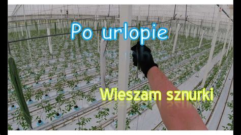 PO URLOPIE ZNOWU W SZKLARNI Praca W Holandii YouTube