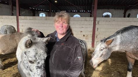 Hetzkampagne Betreiberin von Ponyreitgeschäft wehrt sich gegen