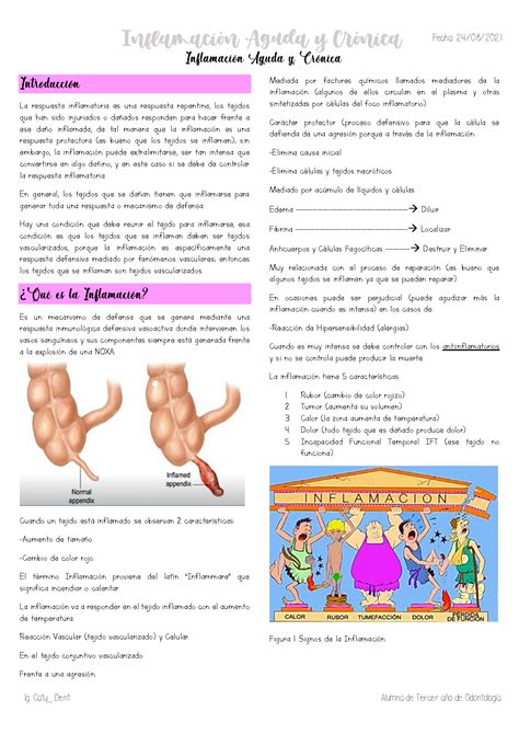 Solution Inflamacion Aguda Y Cronica Studypool