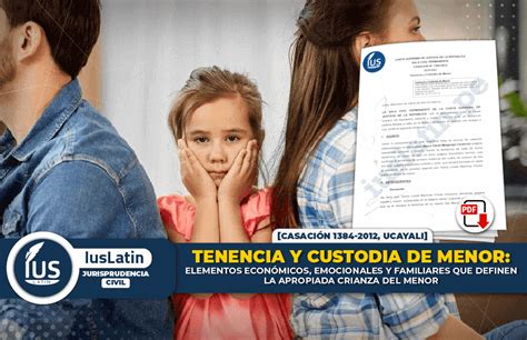 Tenencia Y Custodia De Menor Elementos Económicos Emocionales Y Familiares Que Definen La