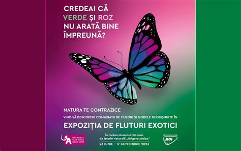 Magic Fm Fluturi Exotici Vii Muzeul Na Ional De Istorie Natural