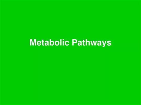 Ppt Metabolic Pathways Powerpoint Presentation Free Download Id