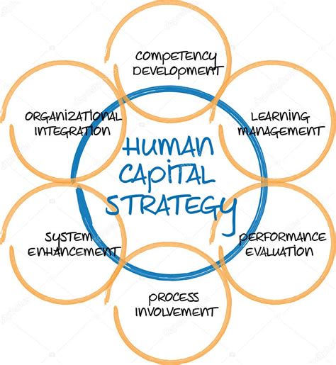 Diagrama De Negocio De Capital Humano — Fotos De Stock © Kgtohbu 5485704