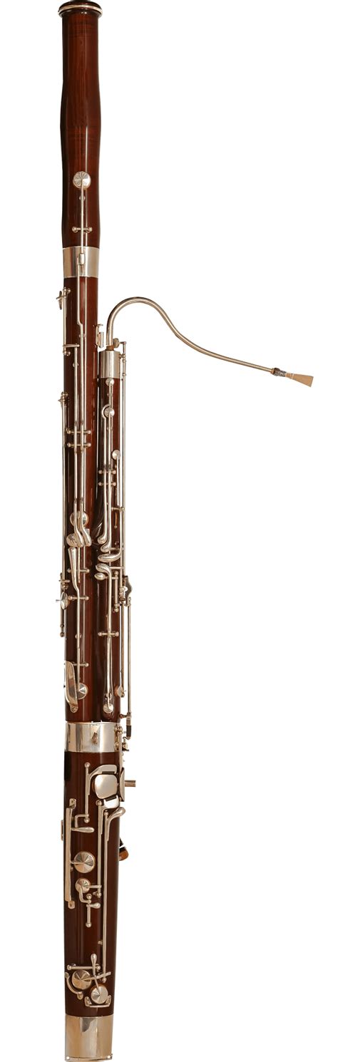 fagots augsim muzeja