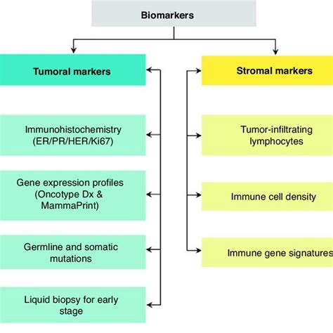 The World Health Organization Who Classification Of Tumours Fifth