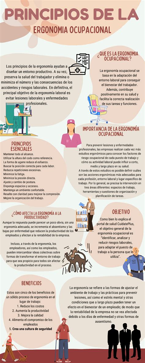 Infografia Principios De La Ergonomia Ocupacional