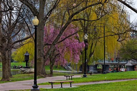 Sam Bailey Photography Boston Boston Common Spring Boston Ma