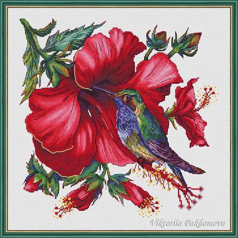 Hibiscus And Hummingbird Cross Stitch Pattern Pdf Bird Of Paradise