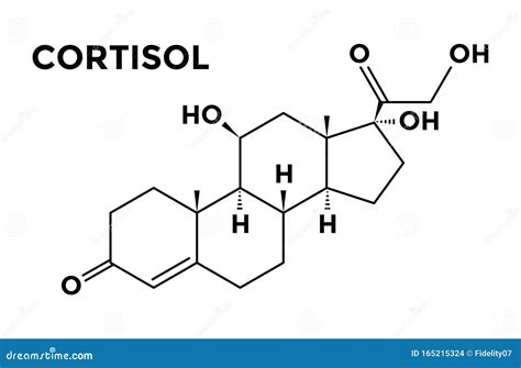 Cortisol Chemical Structural Formula And Model Of Hormone Molecule