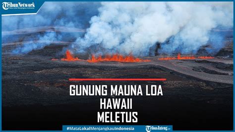 Erupsi Gunung Mauna Loa Hawaii Meletus Lahar Pijar Dan Abu Jingga