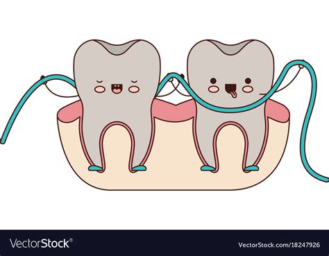 Teeth cartoon and dental floss between them Vector Image