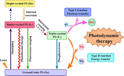 Photothermal Therapy Photonic Biosensing Lab