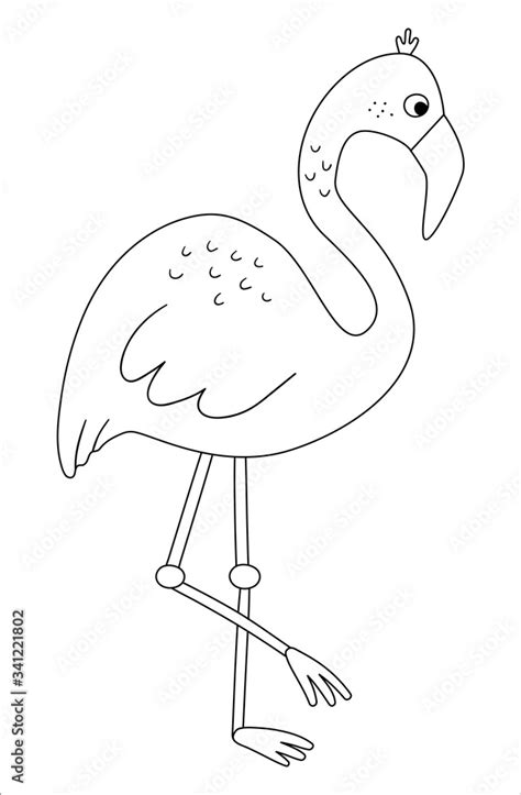 Vector Cute Flamingo Outline Funny Tropical Exotic Bird Black And