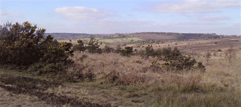 Using Remote Sensing To Map The Ashdown Forest Sac Environment Systems