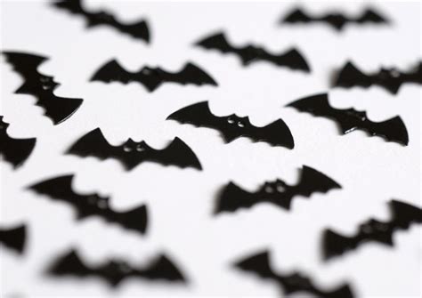 Free Stock Photo 1439 halloween bats | freeimageslive