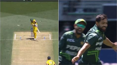 Watch Haris Rauf Makes Glenn Maxwell His Bunny Outfoxes Him In Third