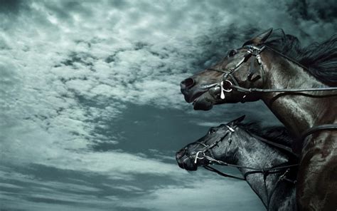 Dark Horses Hd Desktop Wallpaper Widescreen High Definition