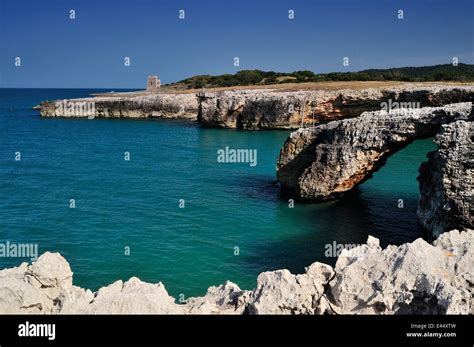 Gargano national park hi-res stock photography and images - Alamy