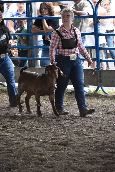 Mecosta County 4 H Senior Hannah Koch Plans To Use Love Of Animals As