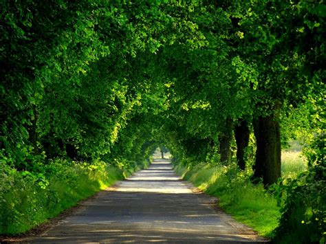 Tổng hợp 777 Background green road Cho cảm giác đi đường tham quan