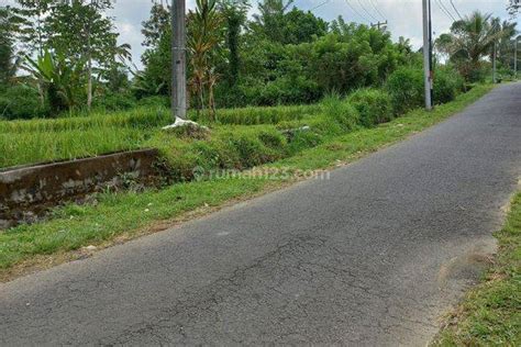 Dijual Tanah Murah Jalan Utama Lokasi Tegalalang Ubud Area Oleh