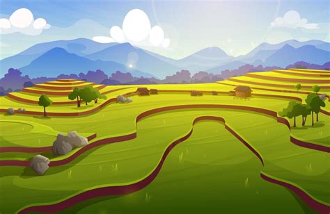 Rice Field Terraces Asian Paddy With Farm Houses 13699296 Vector Art