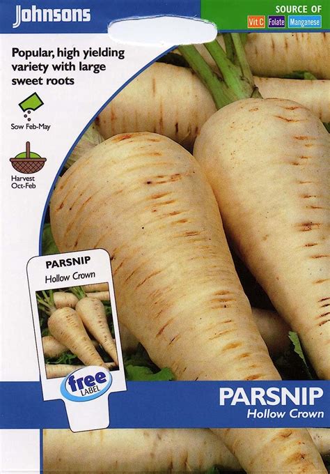 Johnsons Seeds Pictorial Pack Vegetable Parsnip Hollow Crown 500 Seeds Uk